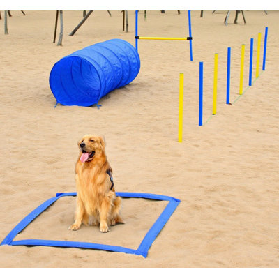 Dog Agility Training Kit 23.5" L x 23.5" W x 58.3" H Polyester 1 Piece Obstacle Course Equipment Blue Adjustable Jumps Weave Poles Pause Box and Tunnel Set