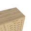 Armoire de rangement avec 3 portes