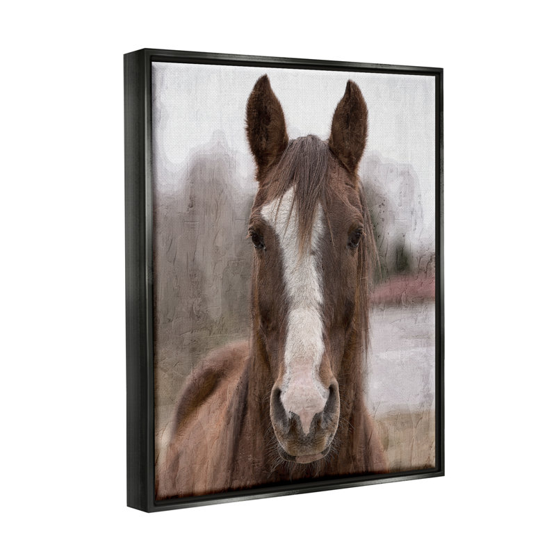 Portrait de cheval Colt, H 21 po x l 17 po x P 1,7 po, Cadre flottant noir de jais