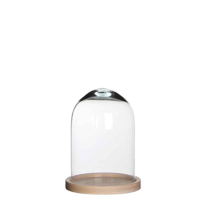 Isra Glass Terrarium, Oak
