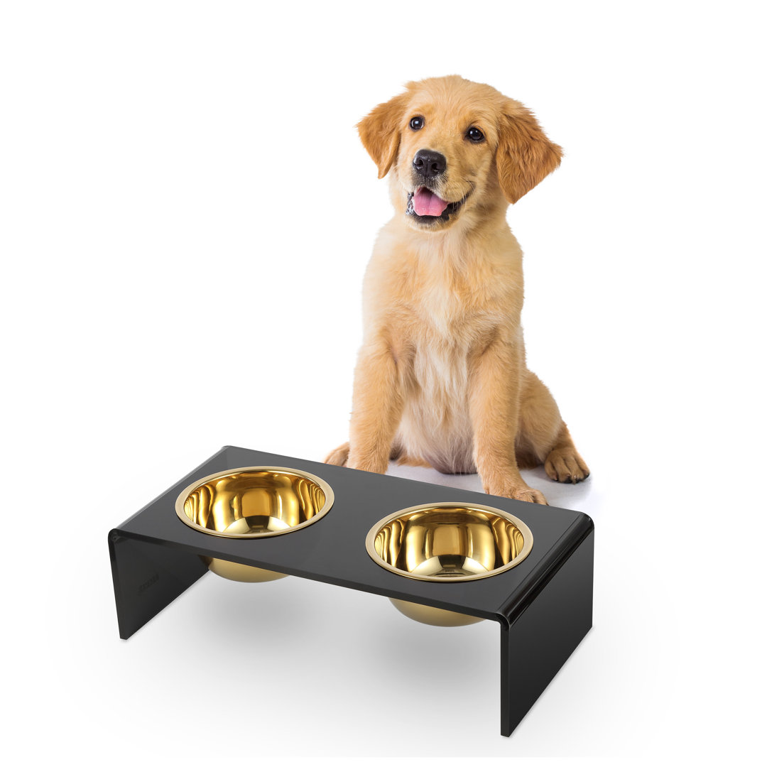 Keaton Modern Lucite Rectangular Elevated Pet Feeder with 2-Stainless Steel Bowls The Licker Store 