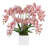 Pink Orchids Arranges in Square Fiberstone Planter