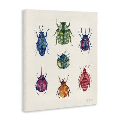  Varied Beetle Chart Canvas Wall Art by Yvette St. Amant
