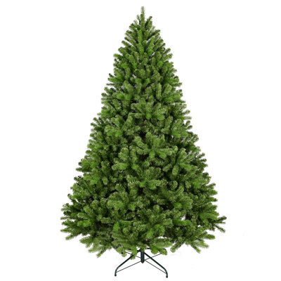 Spruce Christmas Tree