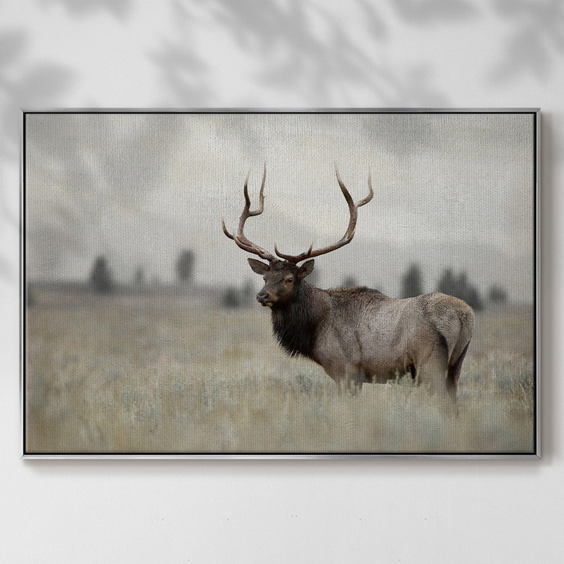 Grand élan encadré sur toile, H 25 po x l 37 po x P 2 po, Argent