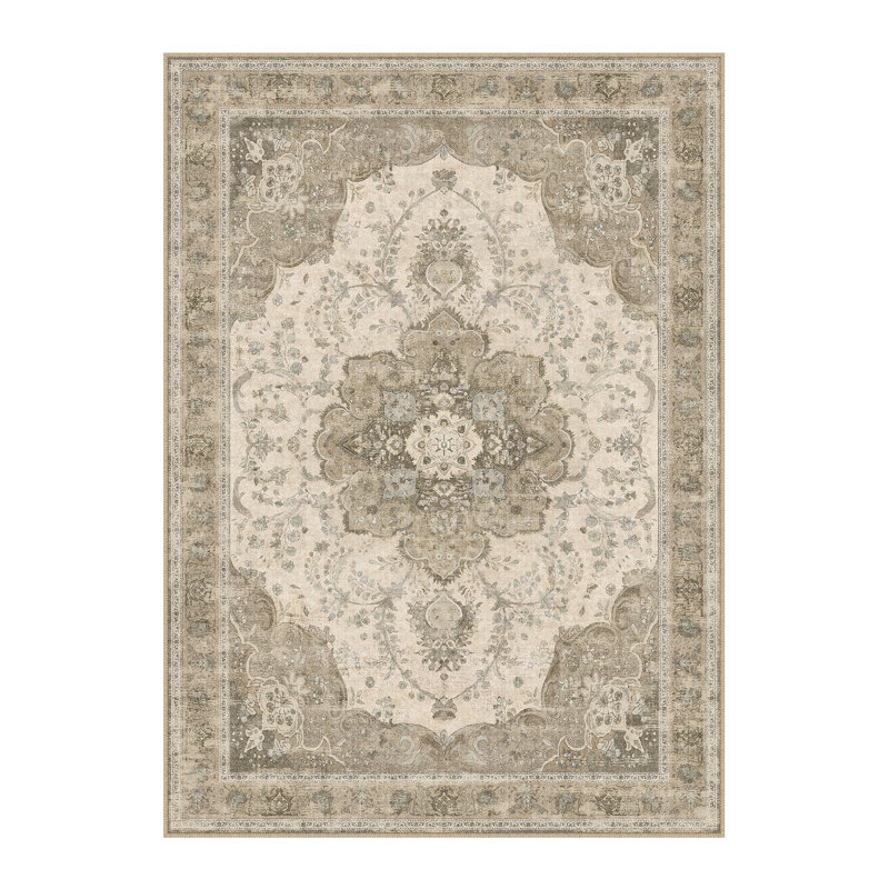 Oriental and Vintage Look Area Rug, Rectangle 300 x 400 cm