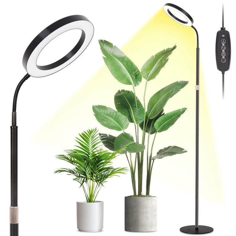 Grow Light with Stand for Indoor Plants, 8" Halo Full Spectrum Grow Light, Adjustable Height up to 68", Auto Cycle Timer (4/8/12H), 6-Level Dimmable, Plant Light for Indoor Growing