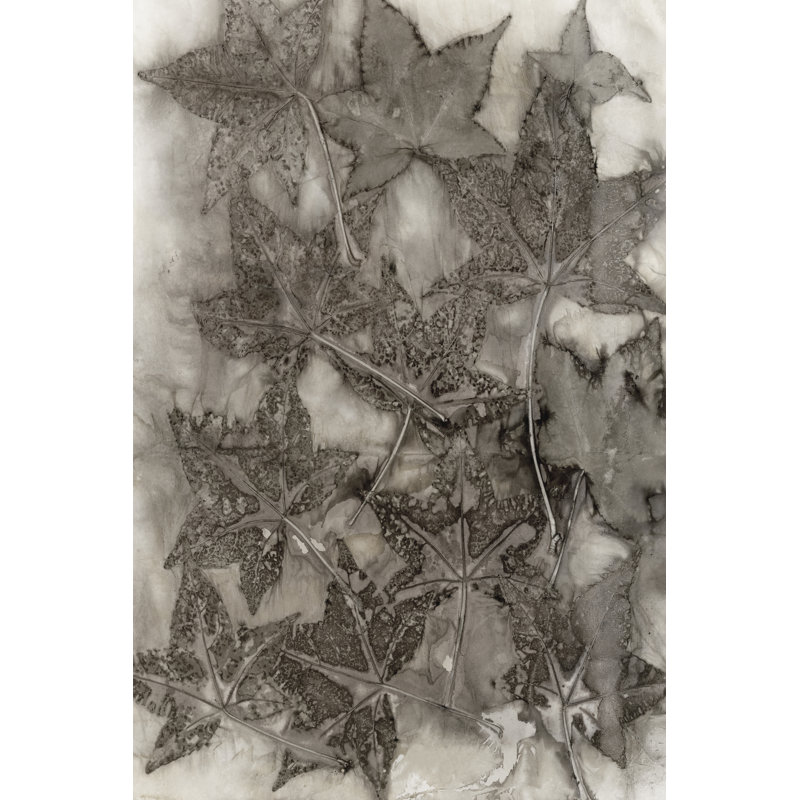 Sweet Gum Leaves 1 Piece Wrapped Canvas Painting, 76cm H x 51cm W