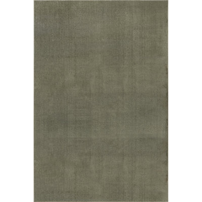 Argelia Solid Machine Washable Area Rug