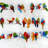 Colorful Birds on a Wire Tablecloth - Feathers Bedroom Decor