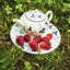 Wild Strawberry Inky Blue 27floz Teapot