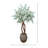 Silver Dollar Eucalyptus Tree in Stone Pot