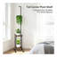 Plant Stand