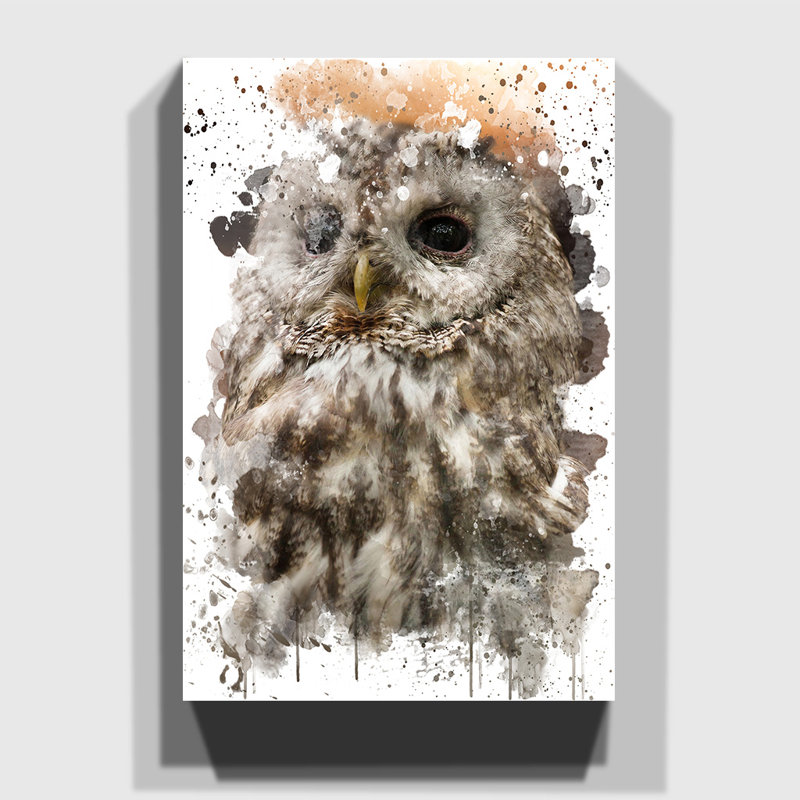 Tawny Owl - Wall Art, 50cm H x 35cm W, Wrapped Canvas