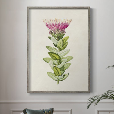 «Pretty Pink Botanicals IV», reproduction encadrée - bois massif 2768831