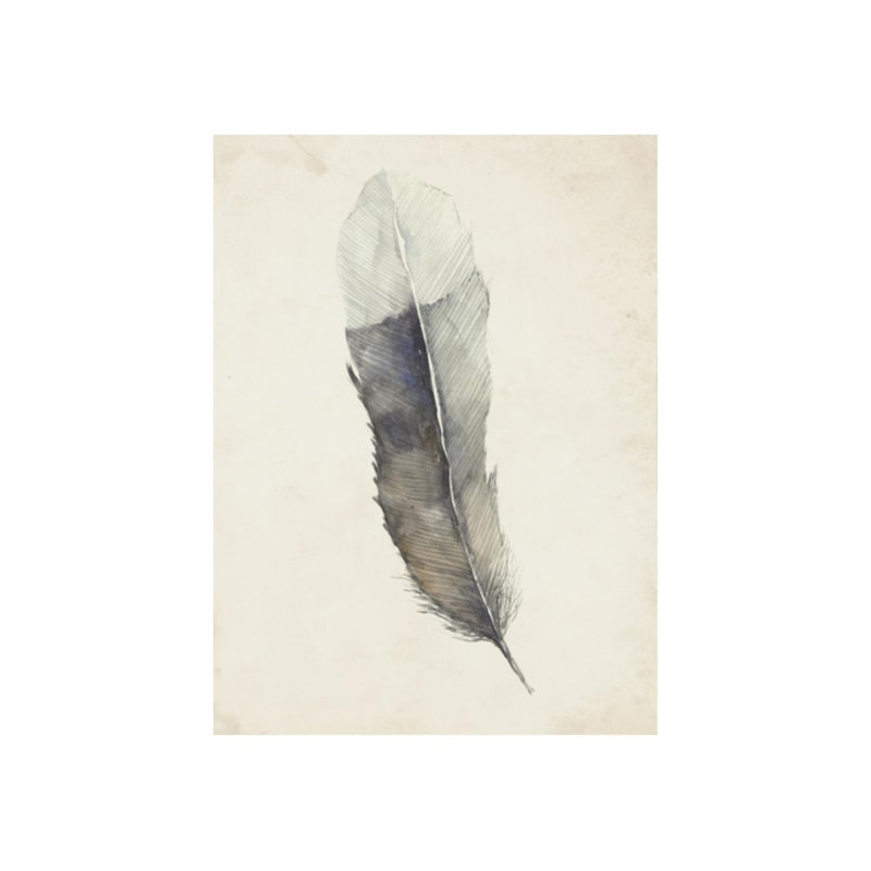 Charcoal Feathers II Print by Beverly Fuller, Matte, 27" H x 20" W