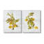 "Rustic Lemons & Leaves" par Graffitee Studios 2 - Pièces sur toile-765674749