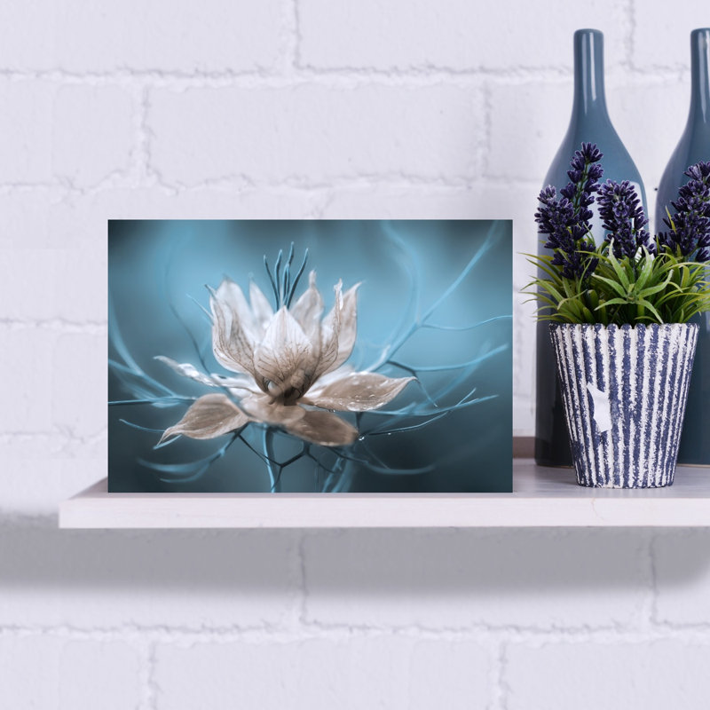 «Nigella», délicate fleur éthérée sereine, art mural nature, H 12 po x l 18 po
