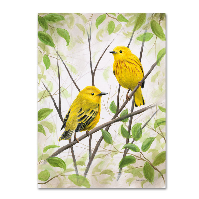 « printemps warblers », reproduction d’impression sur toile tendue, H 19 po x l 14 po