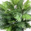 4' Areca Palm Bush In Fiberstone Planter