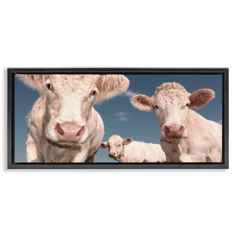 Three Cows, Jet Black Floater Frame, 11" H x 25" W