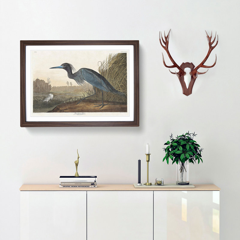 Blue Heron by John James Audubon - Picture Frame Art Print, 36cm H x 48cm W x 2cm D, Walnut Framed