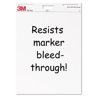 Professional Flip Chart Art Board
