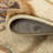 Carias Indoor Rug-329569638