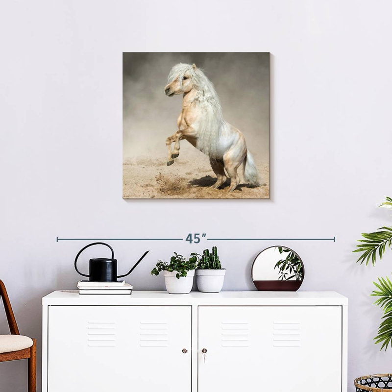 Crowle Palomino Miniature Horse, 24" H x 24" W