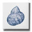 Epic Graffiti 'Shells 4 Blue And White'  by Kathleen Parr Canvas Wall Art, 37" x 37"-106173488