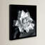 "Gardenia" par Debra VanS vêtementsingen, photographie de fleur sur toile tendue-1731950400-1665954837-1635099188