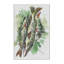 Tapis vert poisson-2116576074