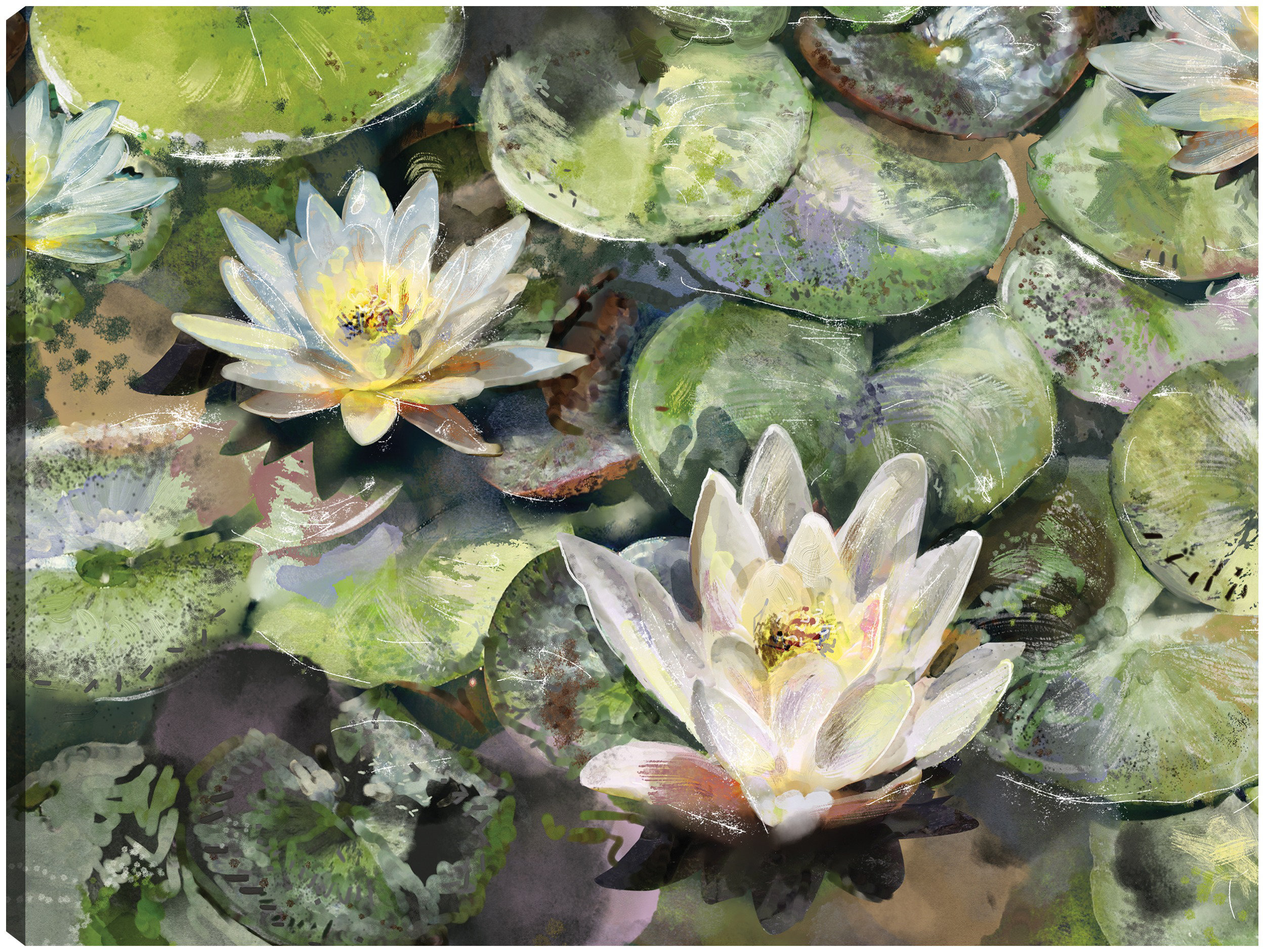 Winston Porter Lotus Blossoms by Studio Arts Canvas Art Print | Wayfair