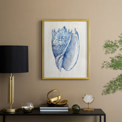 Shell II Framed Print - Solid Wood