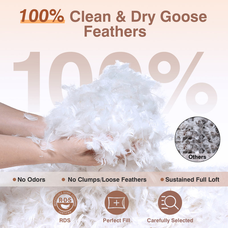 Oreillers de luxe en plumes d'oie avec housse en coton, King