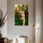 Lionne de chasse Brampt-108543862