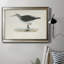 Toile encadrée de qualité supérieure Morris Sandpipers VI - prête à être accrochée-1848197081