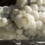 Gyrolite botryoïde avec apophyllite cubique
