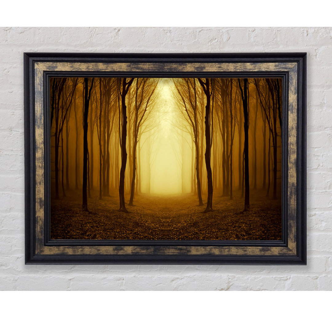 Through The Golden Path - Einzelne Bilderrahmen Kunstdrucke