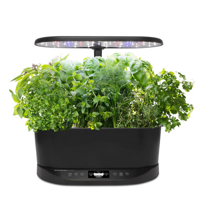 Noir AeroGarden Bounty