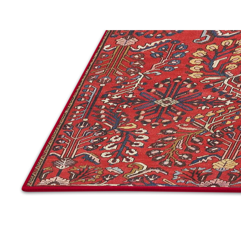Tapis rouge/brun/beige traditionnel Chambery, Rectangle 5 pi x 7 pi