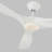 Franny Ceiling Fan with LED Lights-2008673707-1891806493