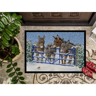 Non-Slip Outdoor Doormat