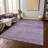 Machine Washable Indoor/Outdoor Claudian ACN1647 Plum Rug-109534805