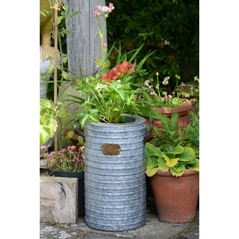 Langan Metal Pot Planter