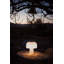 La lampe Boleti