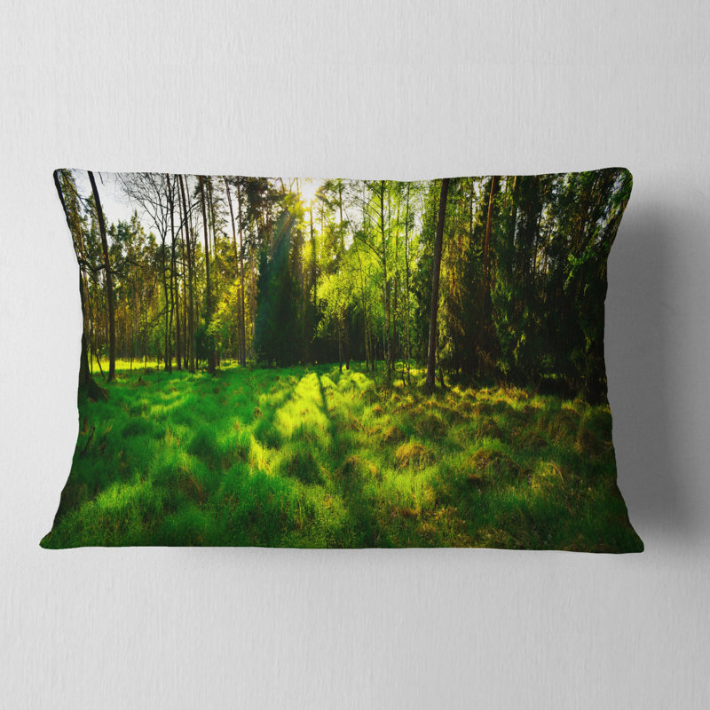 Landscape Reversible Throw Pillow