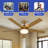Betzie 52'' Ceiling Fan with LED Lights