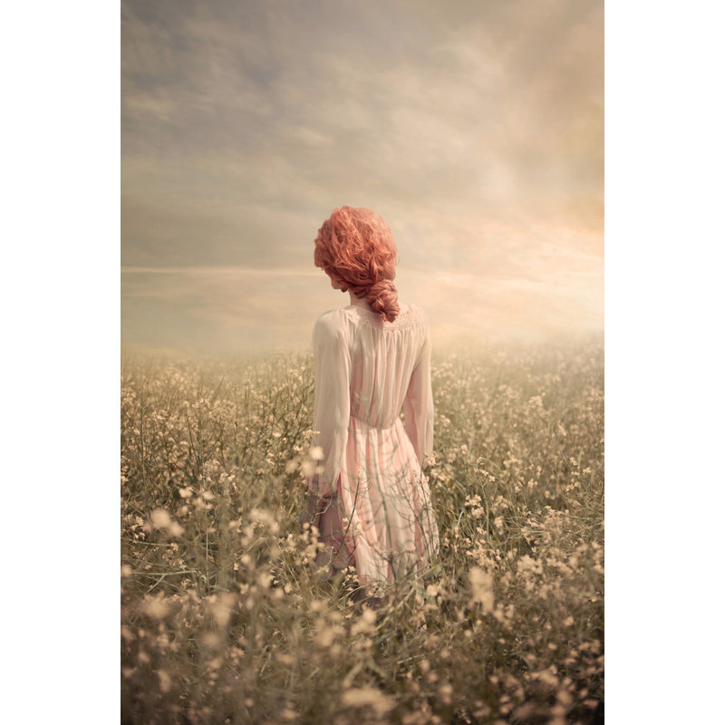 Wrapped Canvas Print, 50.8 cm H x 76.2 cm W