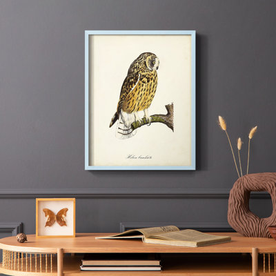 French Owls II, reproduction encadrée - bois massif